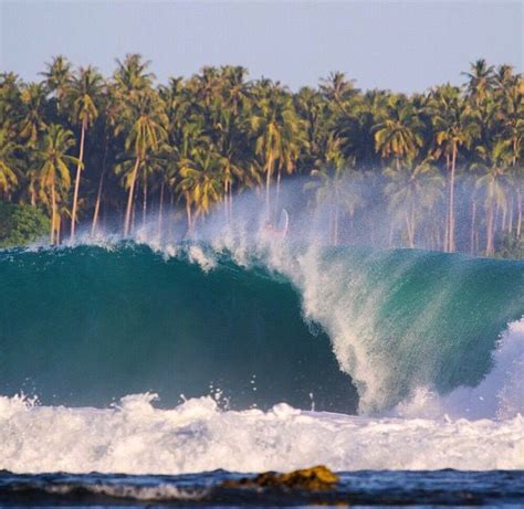 Shore Break Palm Trees Barrel Whitewash Surfer Surf Waves Ocean