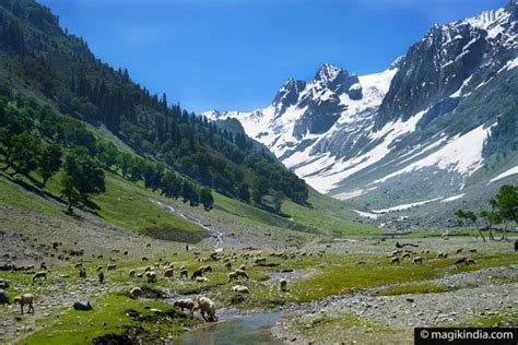 Jammu And Kashmir Ladakh Magik India