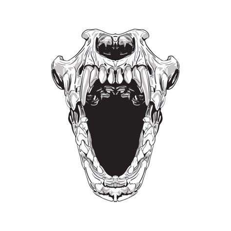 Skull Open Mouth Drawing