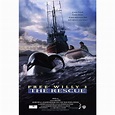 Free Willy 3 The Rescue Movie Poster (11 x 17) - Walmart.com - Walmart.com