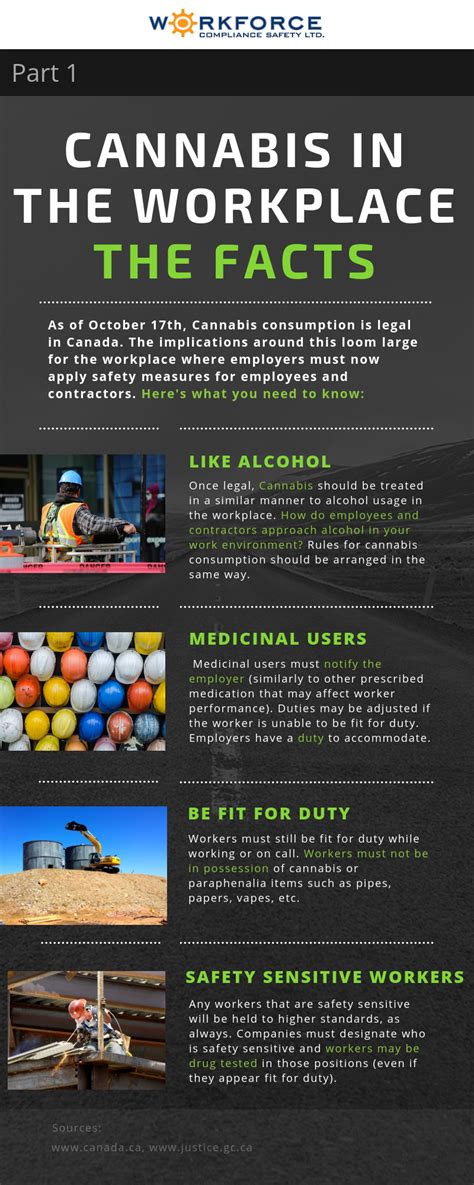Cannabis Legalization And The Workplace The Facts [infographic] Workforce Compliance Safety