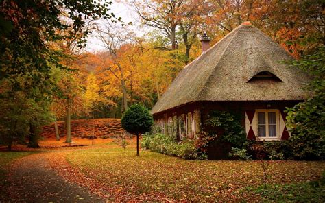 Cabins Forest Autumn Wallpaper Hd Nature 4k Wallpapers Images And