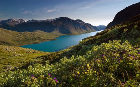 Nature Landscape Mountain Fjord Snowy Peak Sunlight Grass