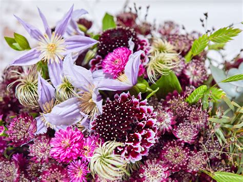 Astrantia Is Your Must Have For Feminine Bridal Bouquets Article On