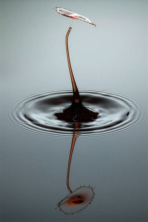 Perfection Of Water Drops By Markus Reugels Pondly Water Drop