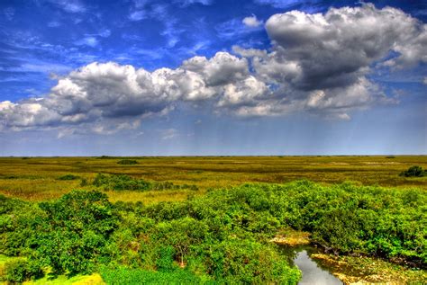 Everglades National Park A View From The Top Of The