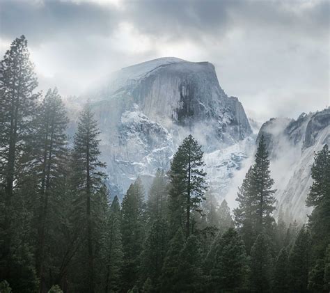Mist Nature Landscape Yosemite National Park Trees Forest Snow Overcast
