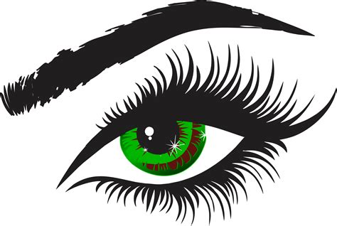 Eyelash clipart iris eye, Eyelash iris eye Transparent ...