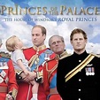 Princes of the Palace (2016) - Rotten Tomatoes