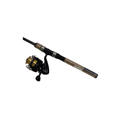 D Shock DSK FW Spin PMC DAIWA Outdoority
