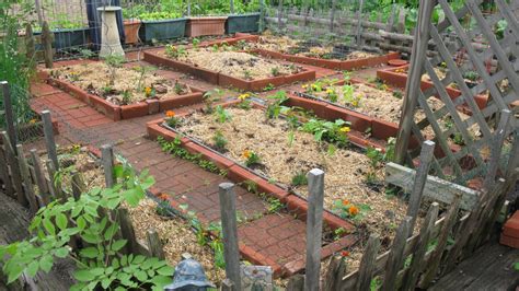 This is a wide group of veggies including mustard greens, collard greens, and turnip greens. How to Get the Best Vegetable Garden Layout for Home | BMG
