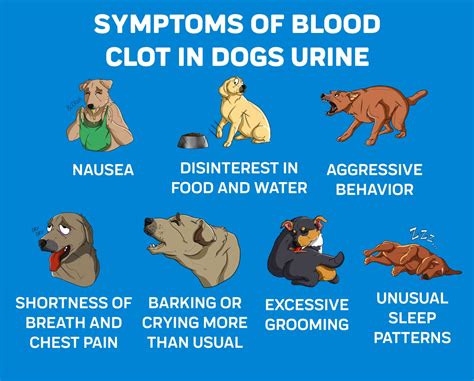 Understanding A Dogs Blood Type Unraveling The Different Blood Types