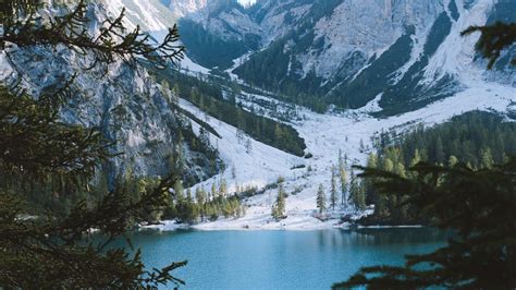 Download Wallpaper 2560x1440 Lake Mountains Branches Landscape