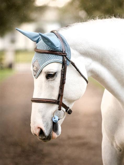 Check spelling or type a new query. Active Performance Jacket Steel Blue | Equestrian ...