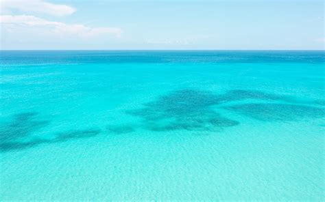 Inagua The Birdwatching Capital Of The Bahamas Islands