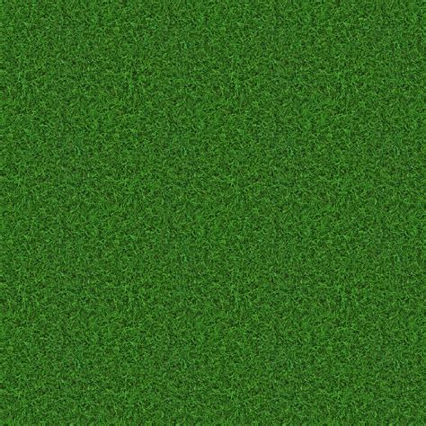 High Resolution Textures Grass Choppy Green Seamless Texture My Xxx