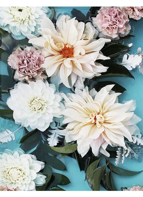 Modern Flower Art Print Floral Wall Art Cream Dahlia