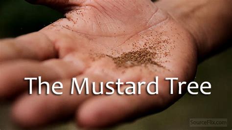 The Mustard Tree Sourceflix Living Hope