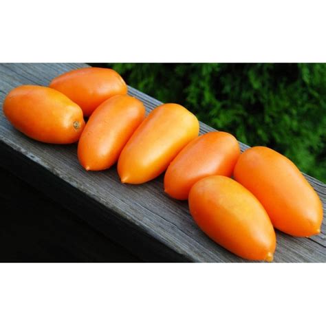 Orange Banana Tomate Samen Preis €185