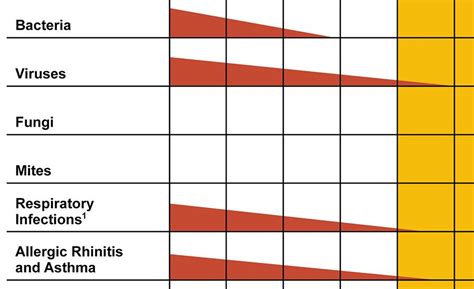 Dued to the lesser rain the best time for traveling is in february. The Health Impacts of Indoor Relative Humidity | 2018-10 ...