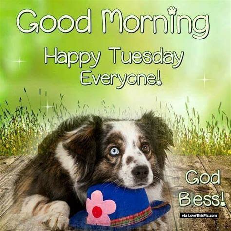 Good Morning Happy Tuesday Everyone Pictures Photos And Images For