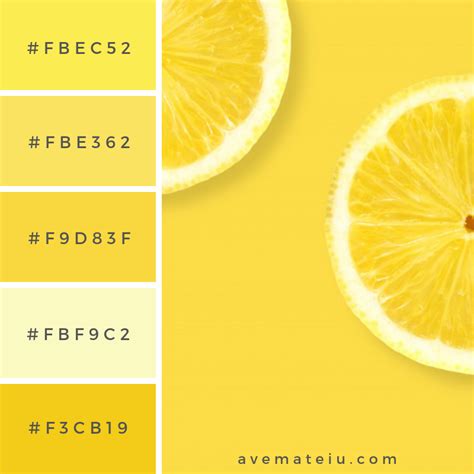 Layout The Lemon On A Yellow Background Color Palette 255 Ave Mateiu