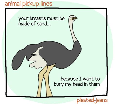 Animal Pickup Lines Pick Up Lines Romantic Pick Up Lines