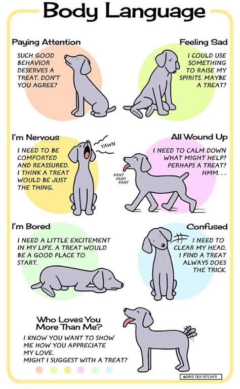 Dog Body Language Chart Dogs Pinterest