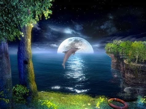 Decorate your screen with this amazing weird fractals free screensaver. Download 3D Jumping Dolphins Screensaver