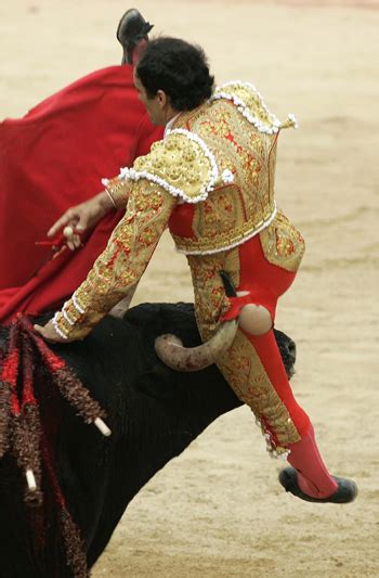 Bullfighter Tossed In The Air