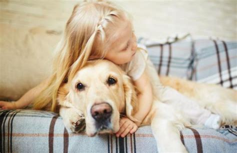 Are Golden Retrievers Good With Kids