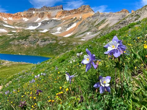 Ice Lake Colorado A Complete Local Hiking Guide