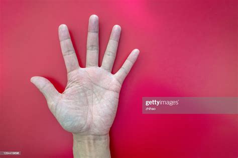 Human Palm High Res Stock Photo Getty Images