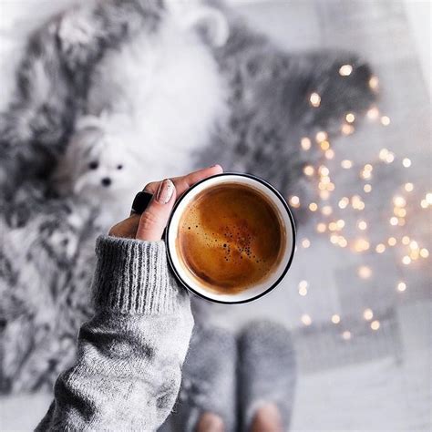Winter Cozy Warm Coffee Cappuccino Coffee And Books Coffee But