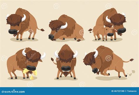 american bison buffalo set six different views front view side view calf vector illustration
