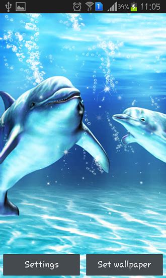 Sea Dolphin Live Wallpaper For Android Sea Dolphin Free Download For