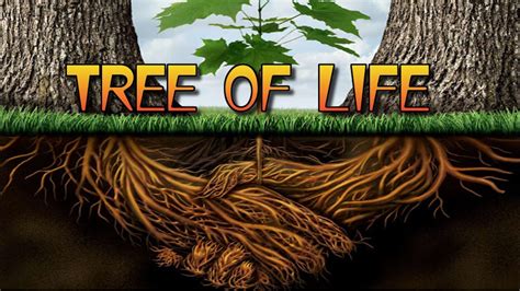 The Tree Of Life Youtube