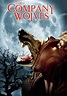The Company of Wolves Movie Poster - ID: 134230 - Image Abyss