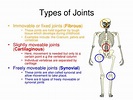 PPT - The Skeleton: The Types of Joints and movement PowerPoint ...