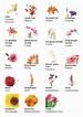 Different types of flowers, Types of flowers, Japanese flower names