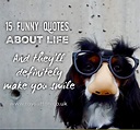 15 funny quotes about life that'll make you smile - Roy Sutton