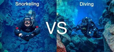Scuba Diving Vs Snorkeling Which Is Better For Exploring An Underwater Ecosystem Awdude