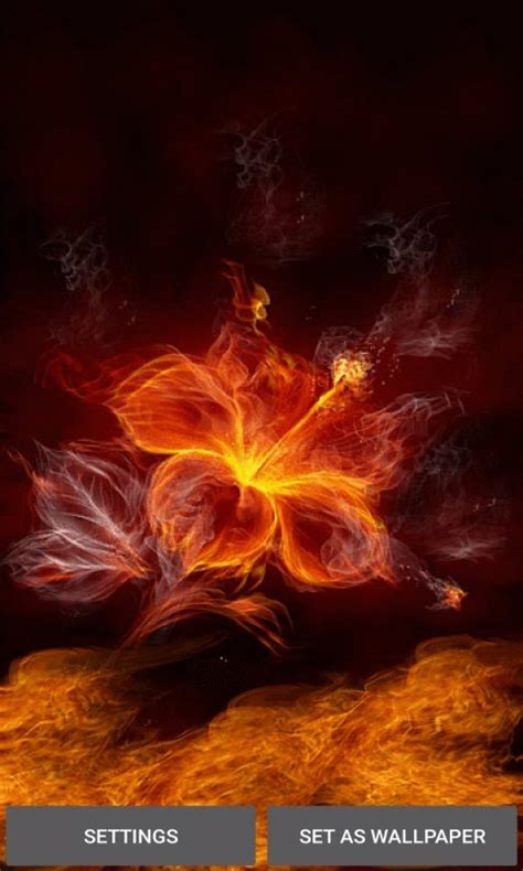 Fiery Flower Live Wallpaper