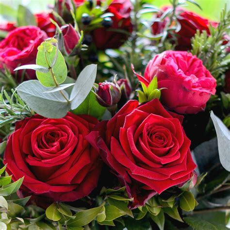 Garden ~ Red Rose Garden Promise Luxury Bouquet Flower Studio Shop