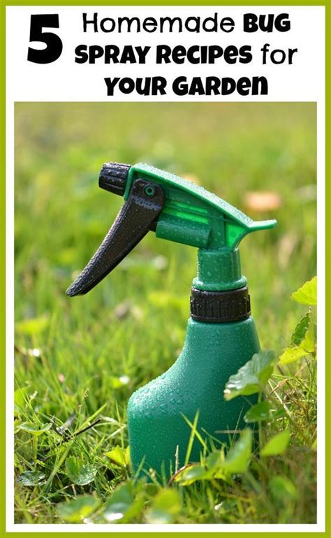 5 Homemade Bug Spray Recipes For Your Garden Gardens Bug Spray