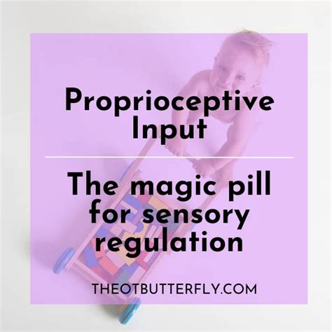 Proprioceptive Input The Magic Pill For Sensory Regulation