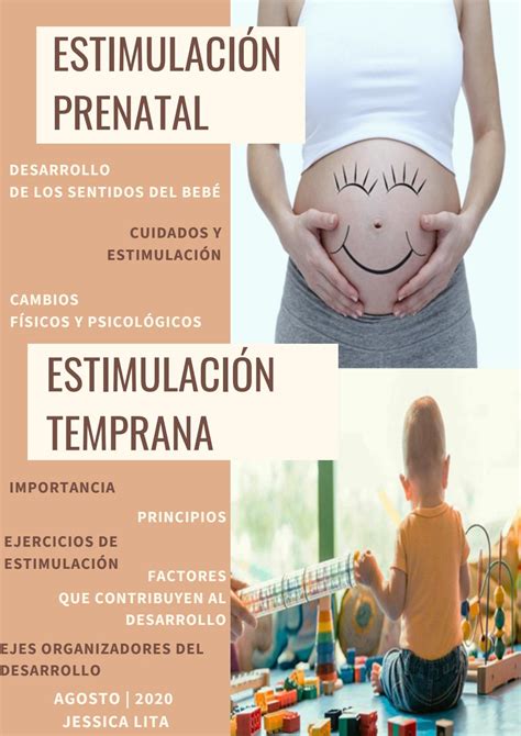 Estimulación Prenatal Y Temprana