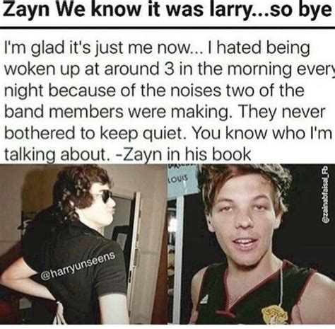 Pin By Reese Shroyer On Larry Stylinson Larry Stylinson One Direction Memes Larry