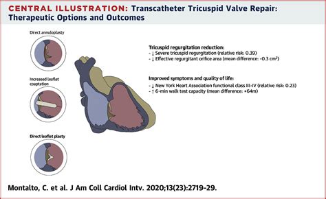Functional And Echocardiographic Improvement After Transcatheter Repair
