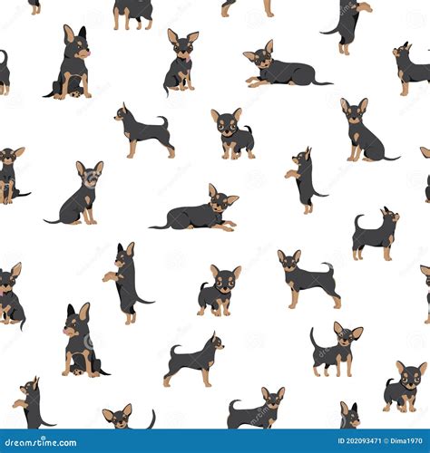 Chihuahua Seamless Pattern Dog Healthy Silhouette And Different Poses